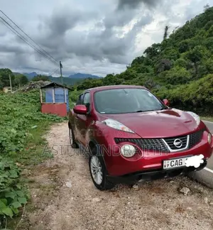 Nissan Juke 2010 SUV (Used)