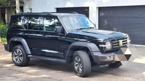 Other GWM TANK 300 2025 SUV (Used)
