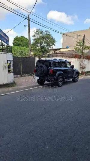 Other GWM TANK 300 2025 SUV (Used)