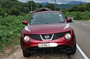 Nissan Juke 2010 SUV (Used)