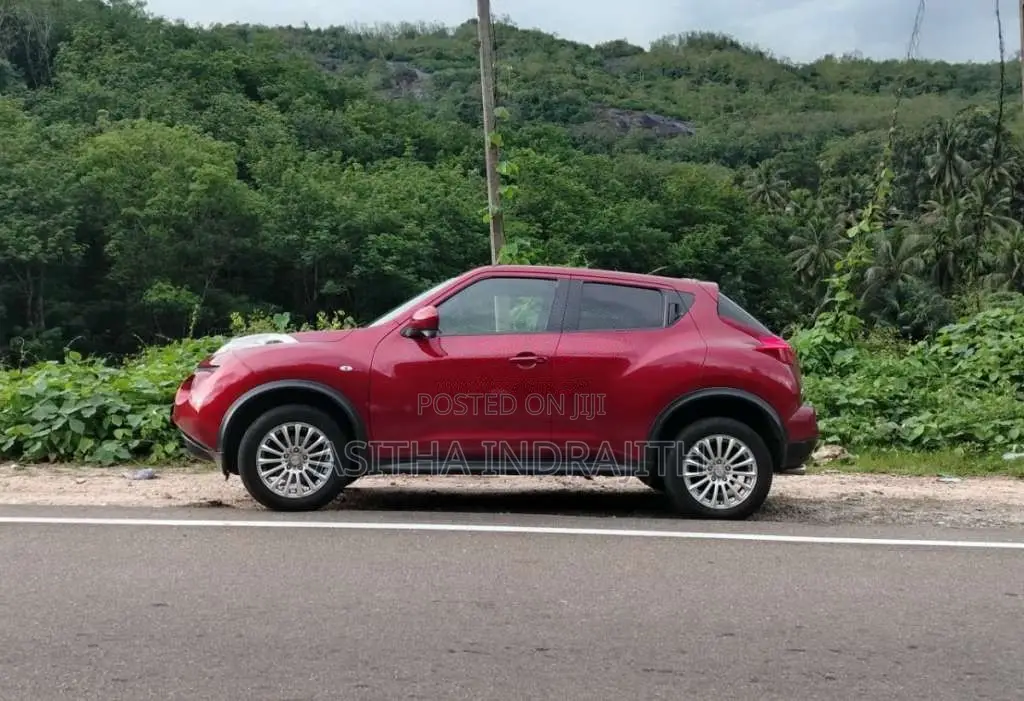 Nissan Juke 2010 SUV (Used)