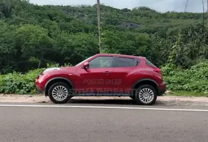 Nissan Juke 2010 SUV (Used)
