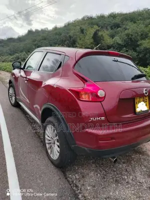 Nissan Juke 2010 SUV (Used)
