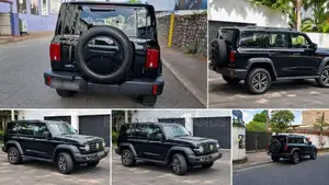 Other GWM TANK 300 2025 SUV (Used)