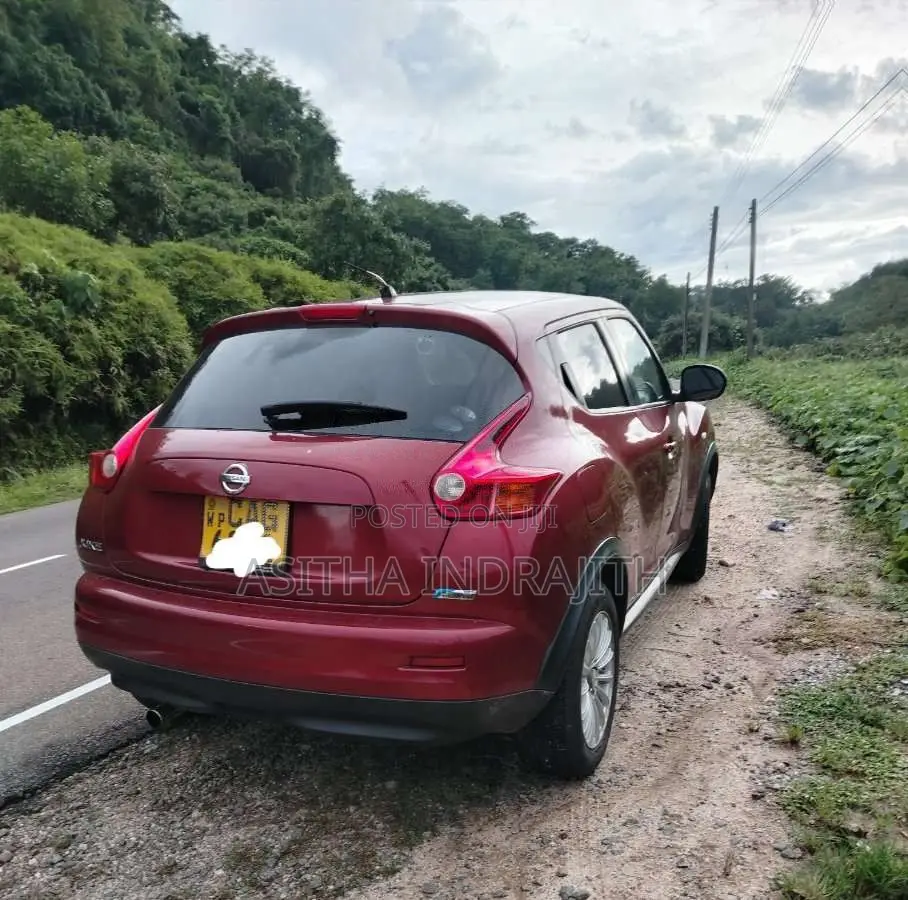 Nissan Juke 2010 SUV (Used)