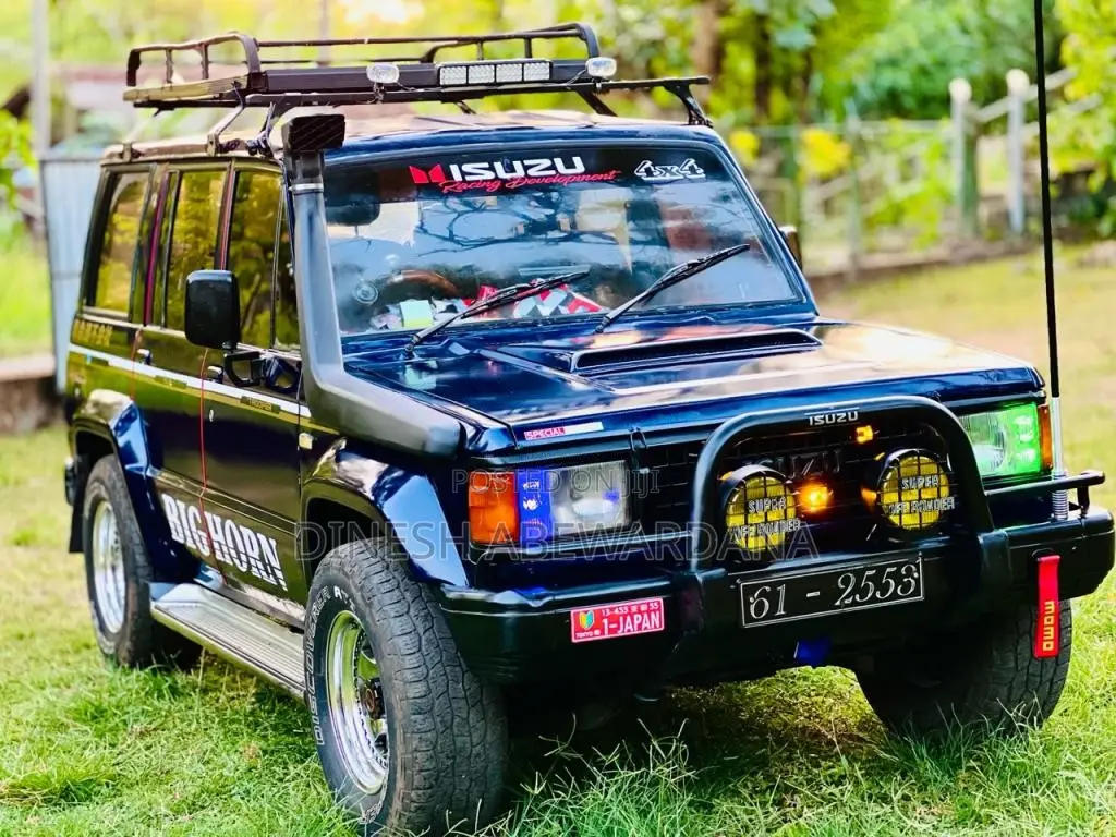 Isuzu TROOPER 1991 SUV (Used)