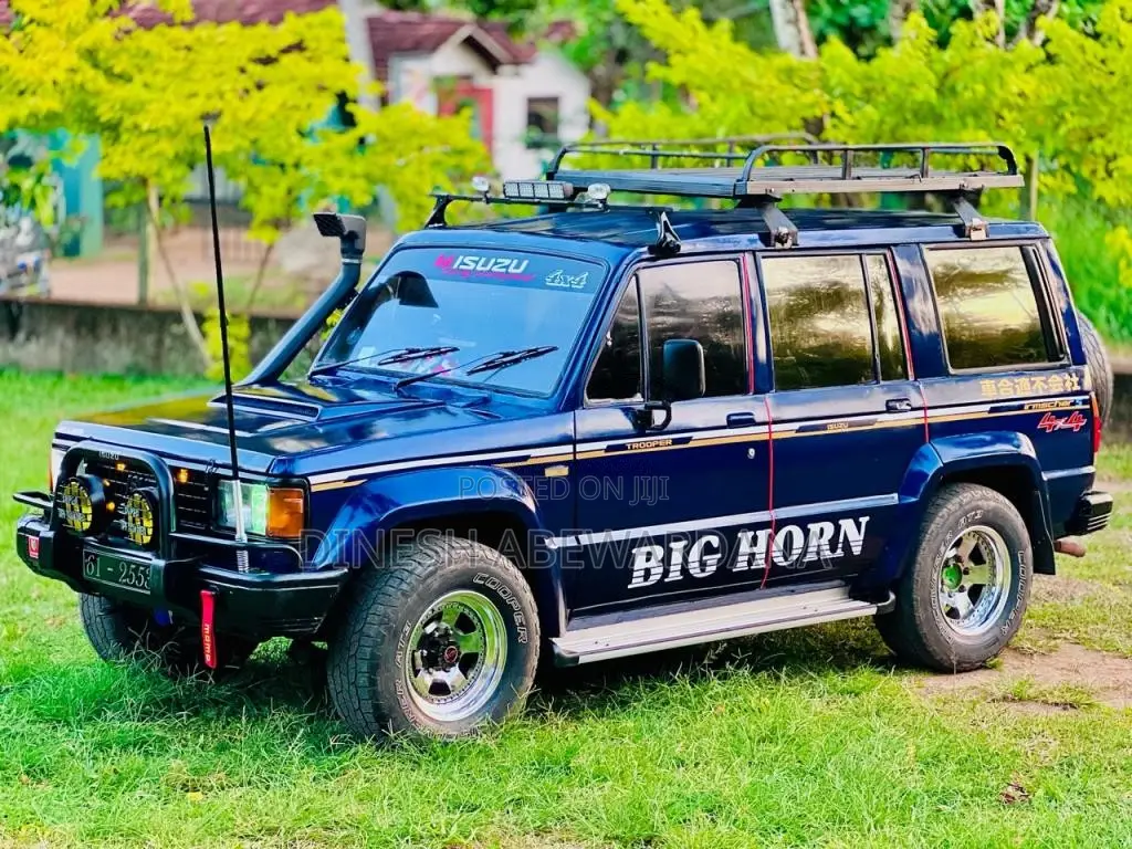 Isuzu TROOPER 1991 SUV (Used)