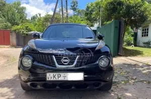 Nissan Juke 2010 SUV (Used)