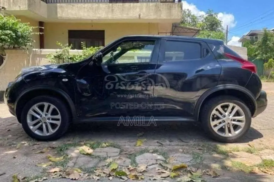 Nissan Juke 2010 SUV (Used)