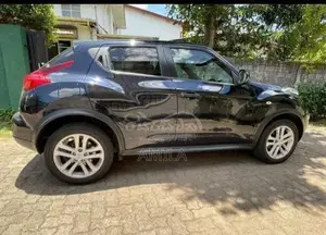 Nissan Juke 2010 SUV (Used)