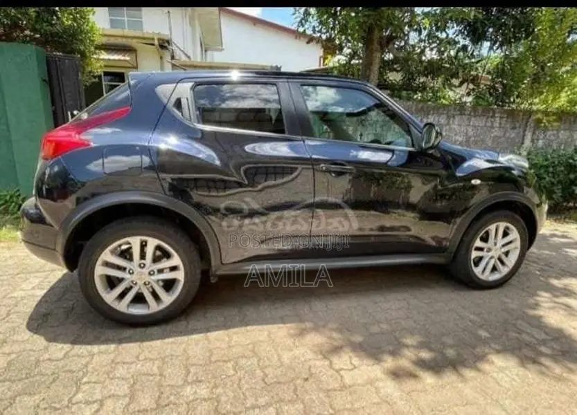 Nissan Juke 2010 SUV (Used)