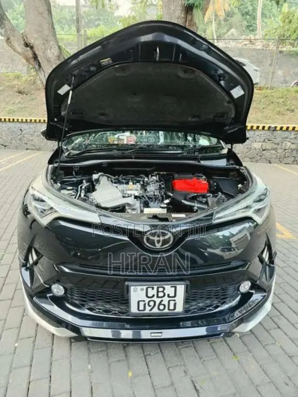 Toyota CHR 2019 SUV (Used)