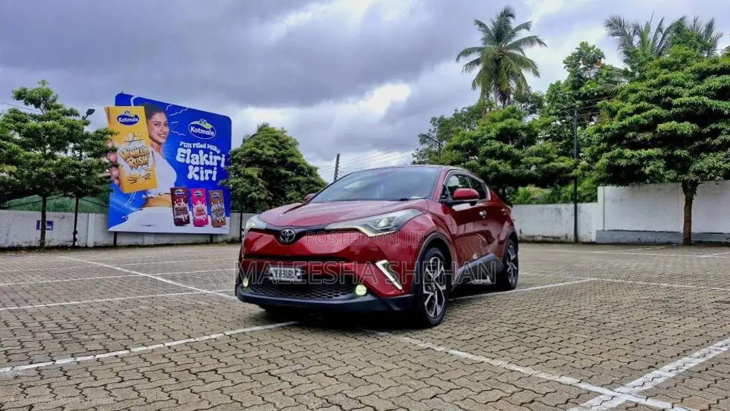 Toyota CHR 2018 SUV (Used)