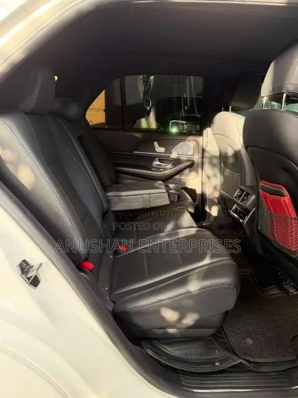 Mercedes-Benz GLE300 2020 SUV (Used)