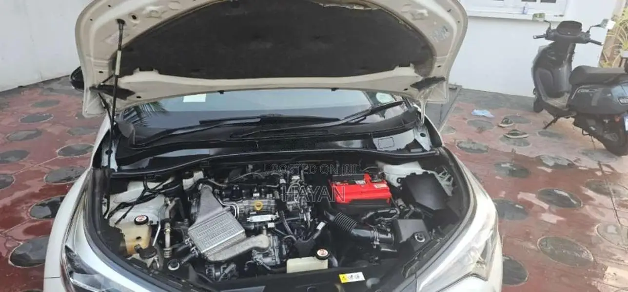 Toyota CHR 2018 SUV (Used)