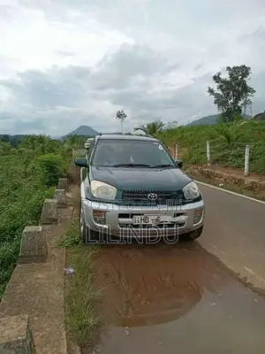 Toyota RAV4 2002 SUV (Used)