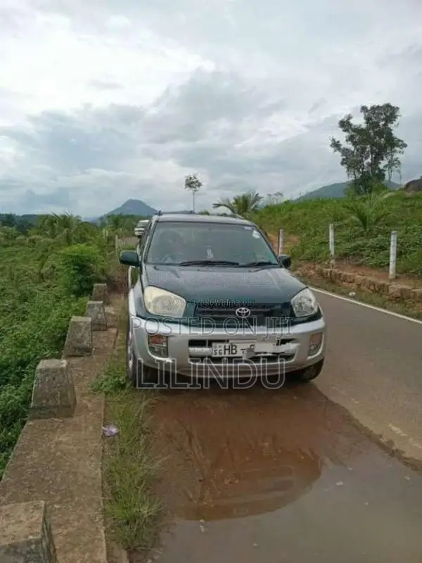 Toyota RAV4 2002 SUV (Used)