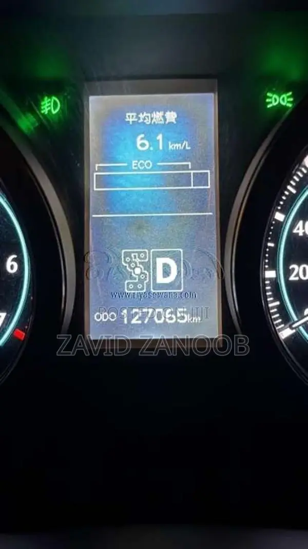 Toyota Prado 2010 SUV (Used)