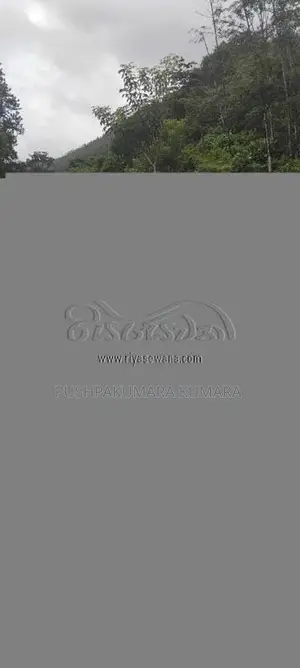 Toyota Allion 240 2003 Car (Used)