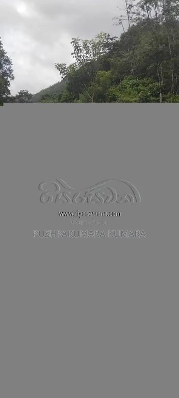 Toyota Allion 240 2003 Car (Used)