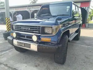 Toyota Land Cruiser 1992 SUV (Used)
