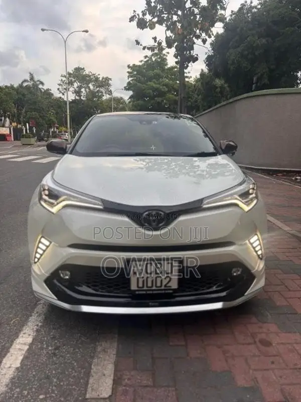 Toyota CHR 2019 SUV (Used)