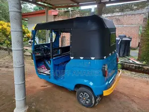 TVS King 2014 Three Wheel (Used)