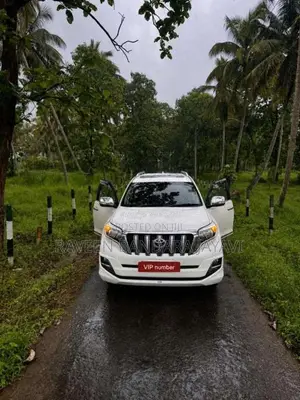 Toyota Land Cruiser 2017 SUV (Used)