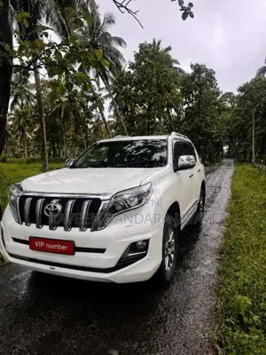 Toyota Land Cruiser 2017 SUV (Used)