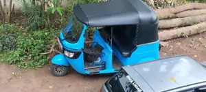 TVS King 2015 Three Wheel (Used)