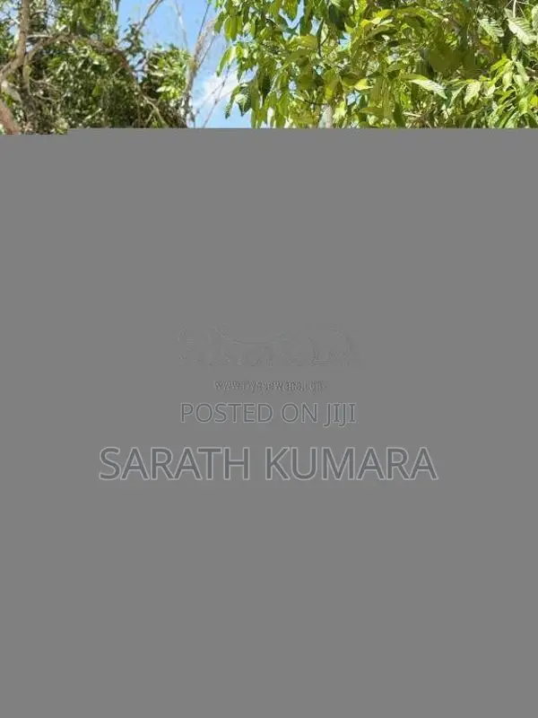 Toyota Prado 2006 SUV (Used)