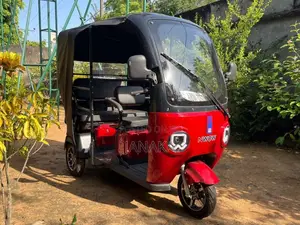 NWOW Evs4 Plus 2024 Three Wheel (Used)