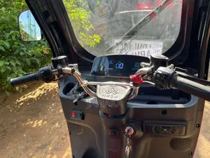 NWOW Evs4 Plus 2024 Three Wheel (Used)