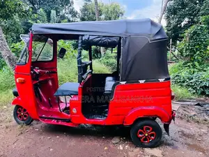 Bajaj RE 2 Stroke 1995 Three Wheel (Used)