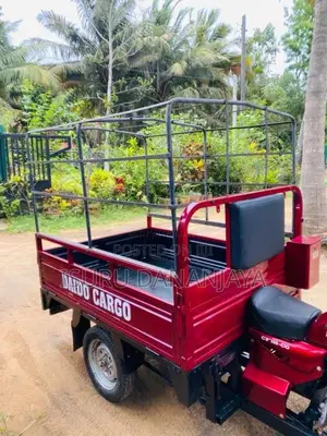Daido Cargo 2012 Three Wheel (Used)