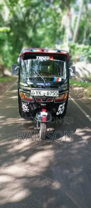 TVS King 2011 Three Wheel (Used)