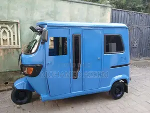 TVS King 2010 Three Wheel (Used)