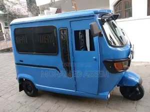 TVS King 2010 Three Wheel (Used)