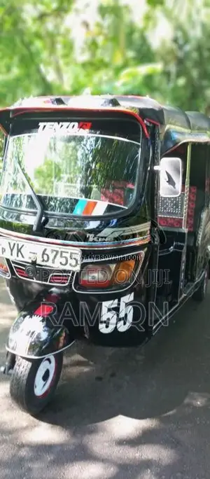 TVS King 2011 Three Wheel (Used)