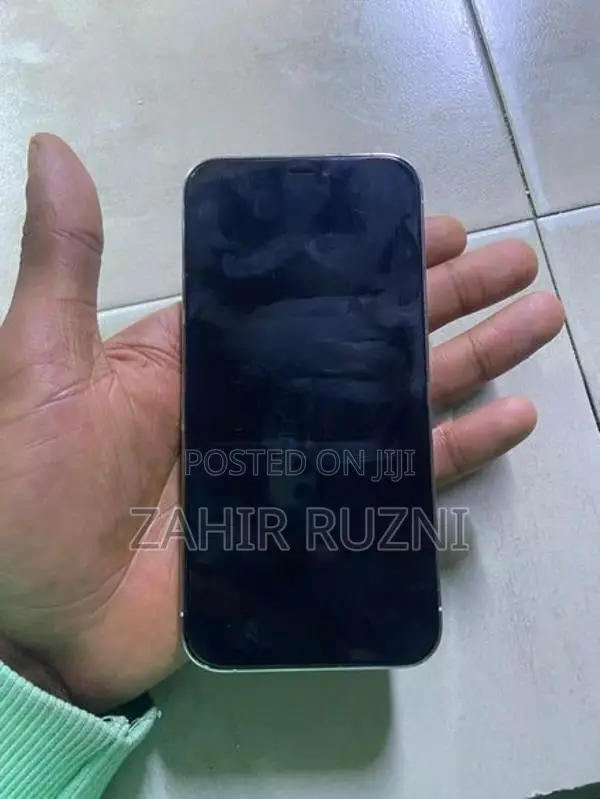 Apple iPhone 12 Pro (Used)