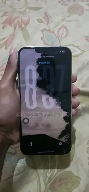 Apple iPhone 13 Pro Max (Used)