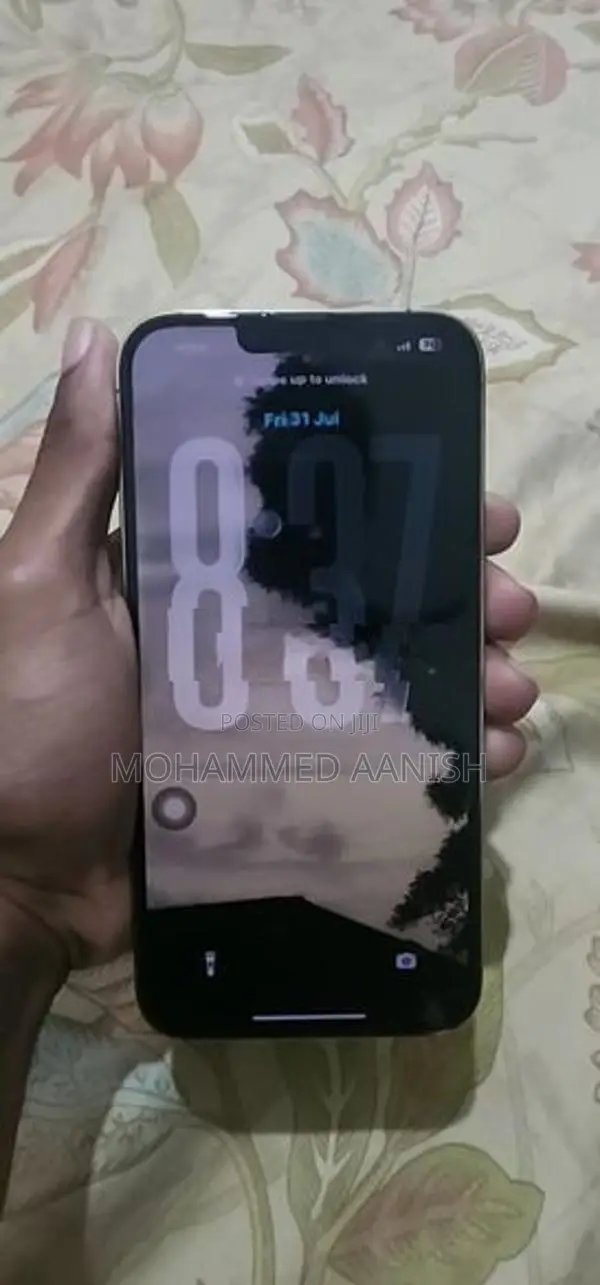 Apple iPhone 13 Pro Max (Used)