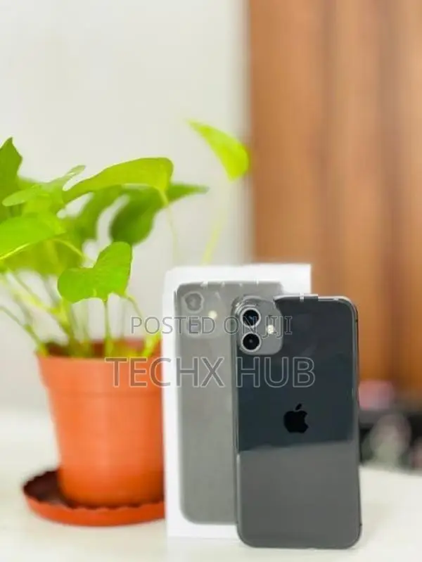 Apple iPhone 11 256GB (Used)