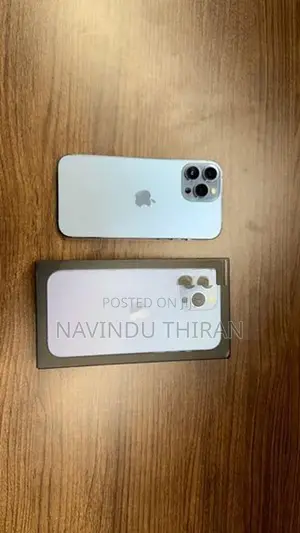Apple iPhone 13 Pro Max (Used)