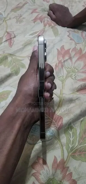 Apple iPhone 13 Pro Max (Used)