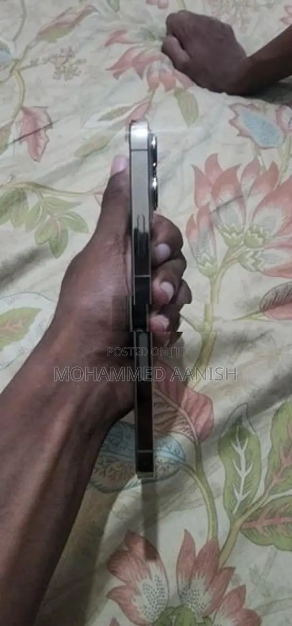 Apple iPhone 13 Pro Max (Used)