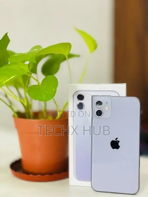 Apple iPhone 11 256GB (Used)