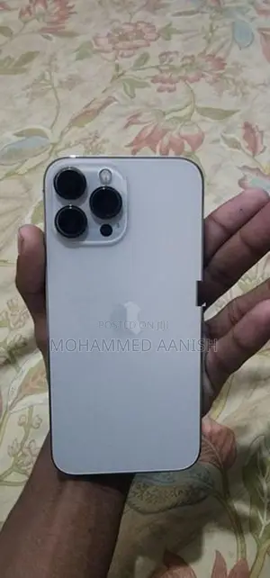 Apple iPhone 13 Pro Max (Used)