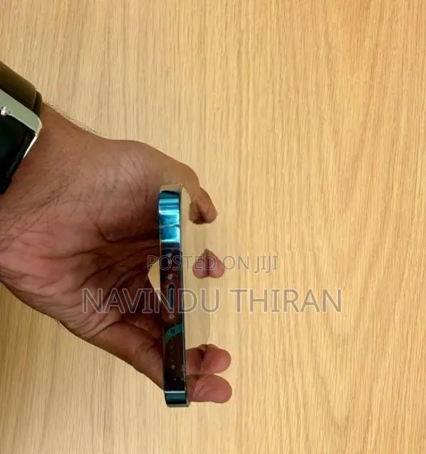 Apple iPhone 13 Pro Max (Used)