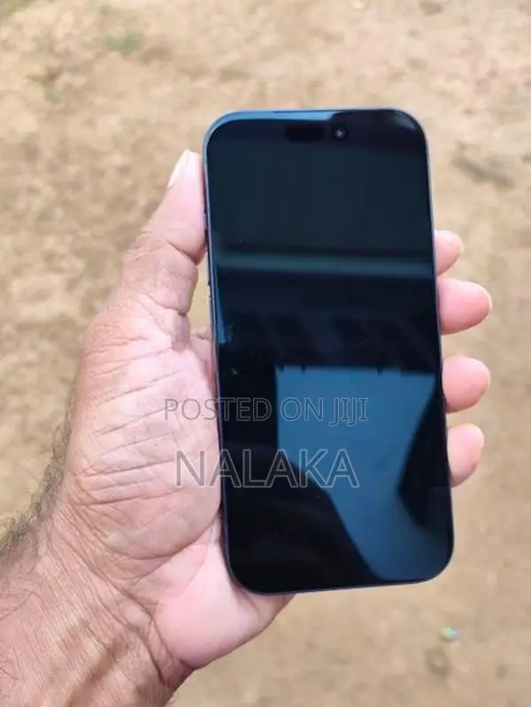iPhone 17 Pro Display
